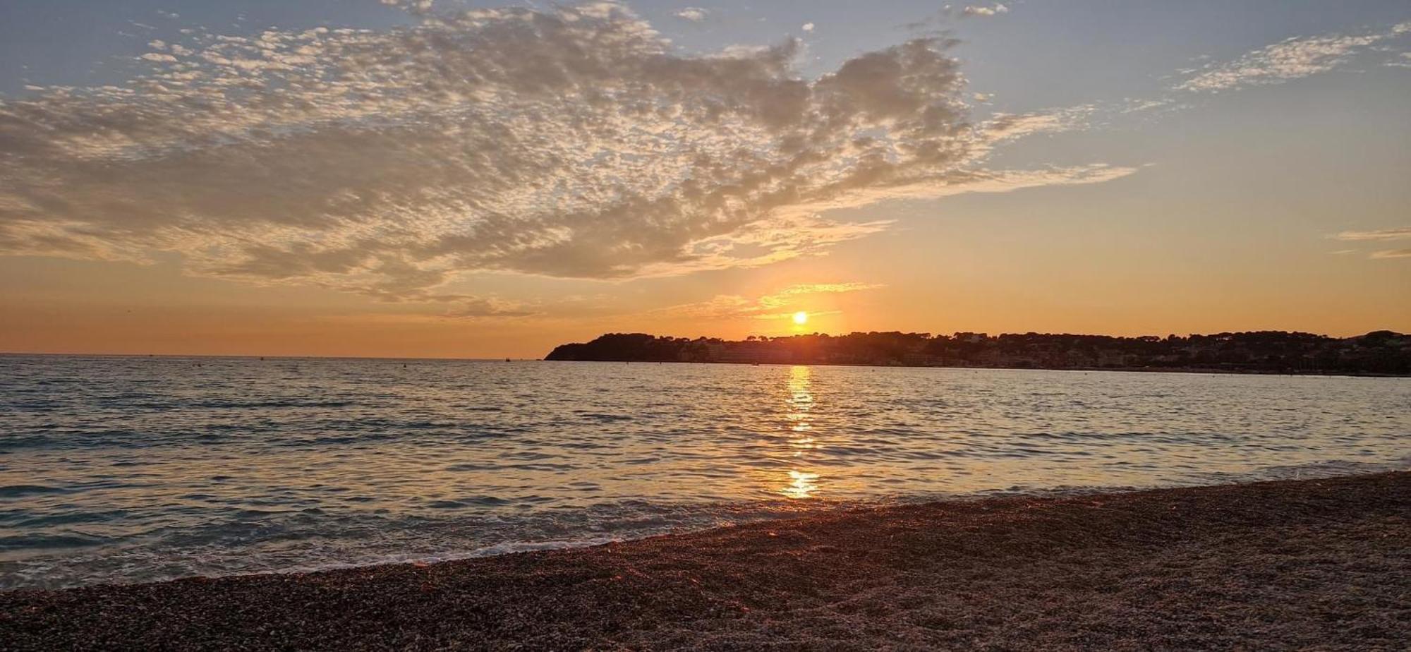 Apartment Avec Jardin Proche Six Fours/sanary Six-Fours-les-Plages